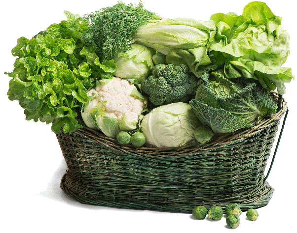 الخضراوات الورقية الخضراء لديها فوائد غذائية كثيرة